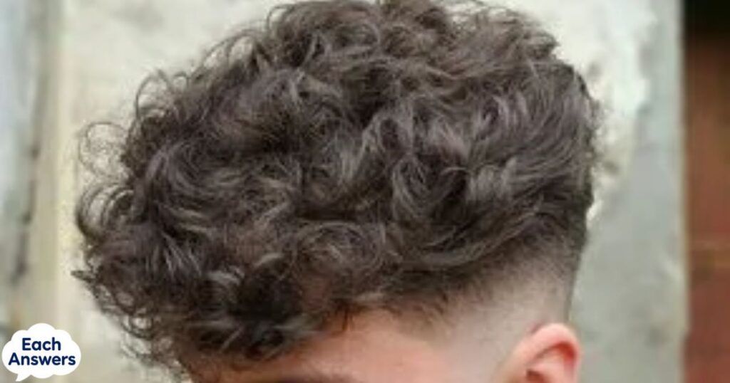Classic Curly Taper Fade