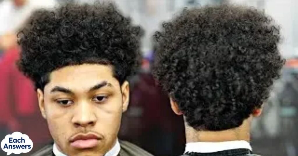 Low Taper With A Curly Top